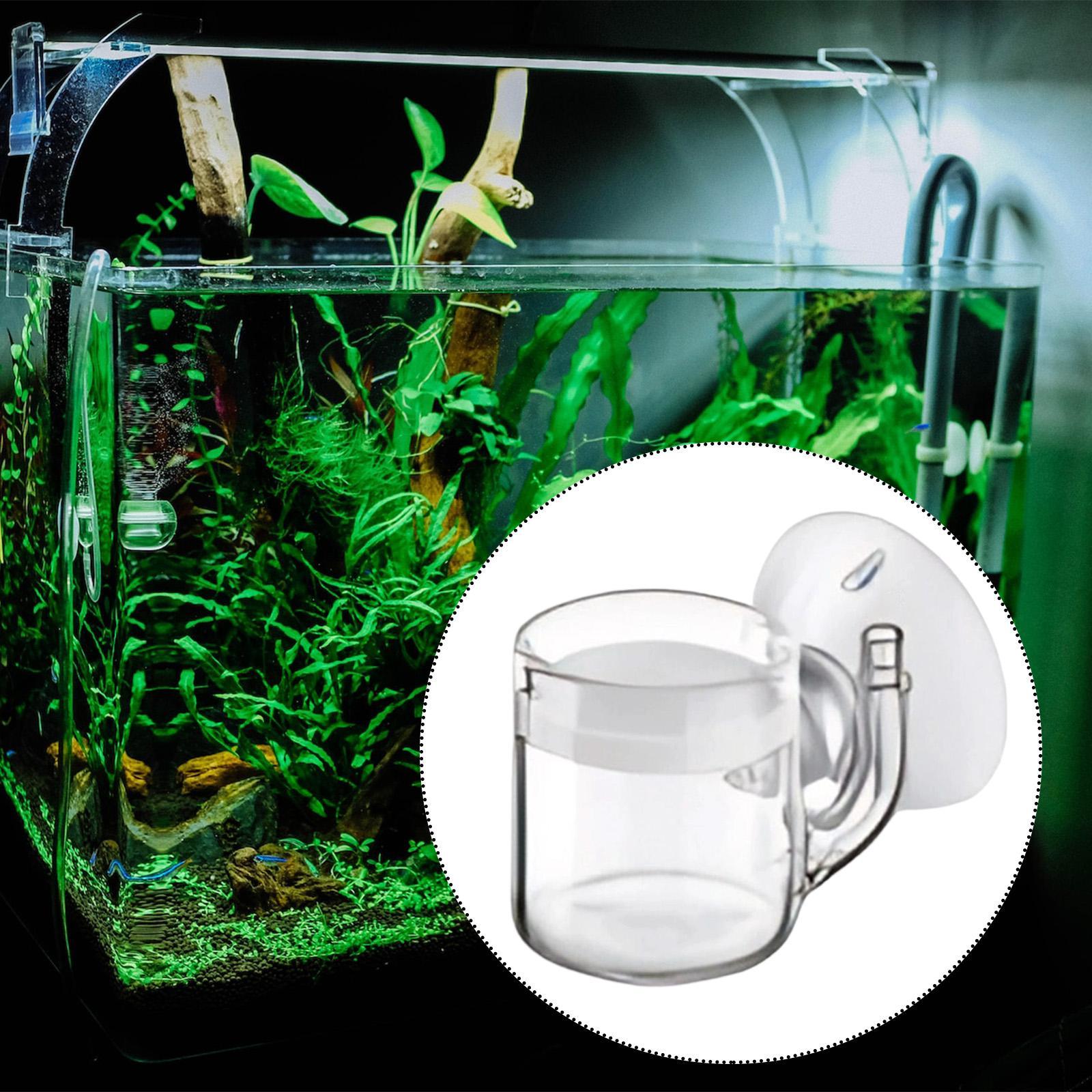 Aquarium Fish Photography - Aquarium Diffuser Glass CO2 System Kit