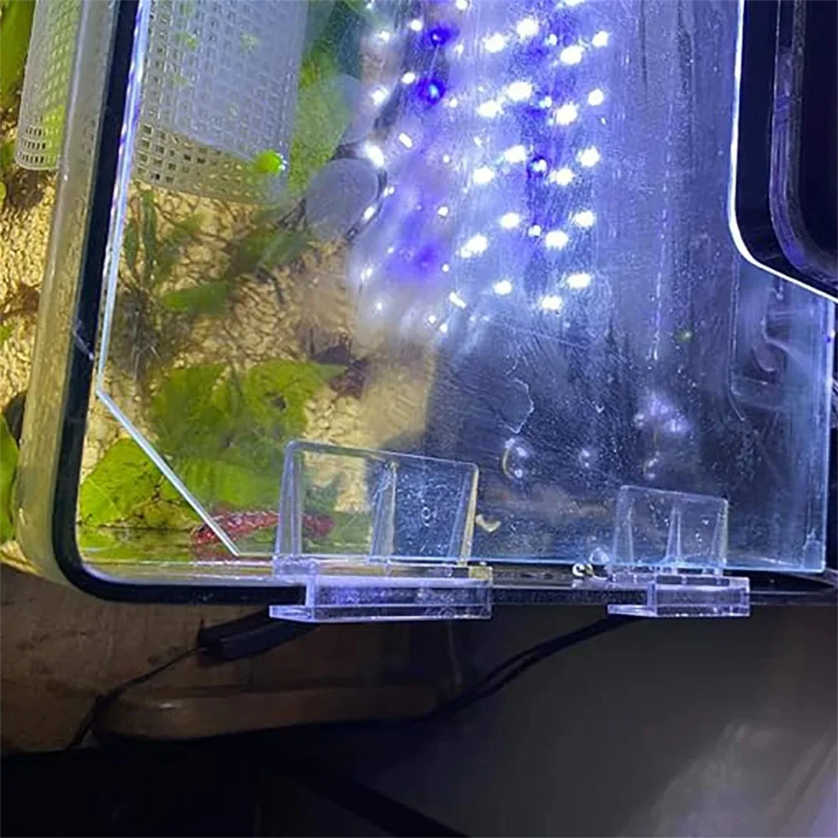 10Pcs Transparent Acrylic Fish - Aquarium Fish Photography のレビューと価格