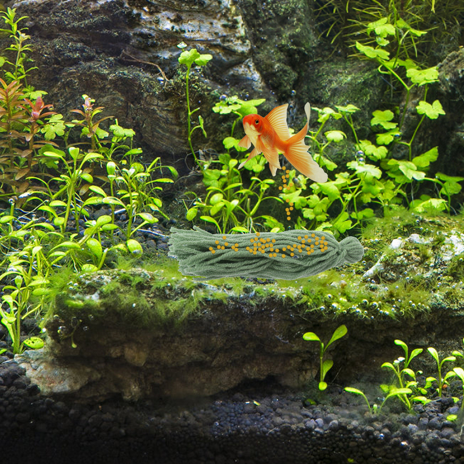 5Pcs Breeding Mop for Fish Tan - Aquarium Fish Hiding Spot のレビューと価格