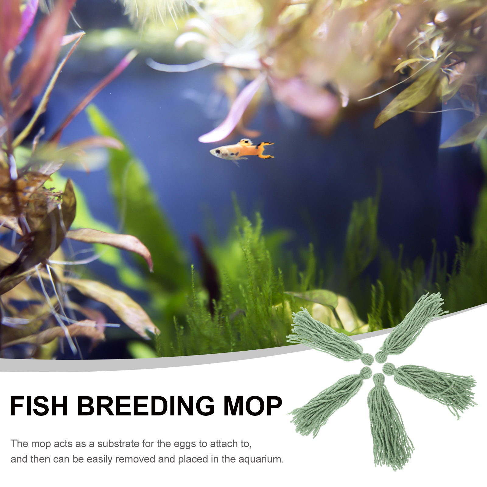 5Pcs Breeding Mop for Fish Tan - Aquarium Fish Hiding Spot のレビューと価格