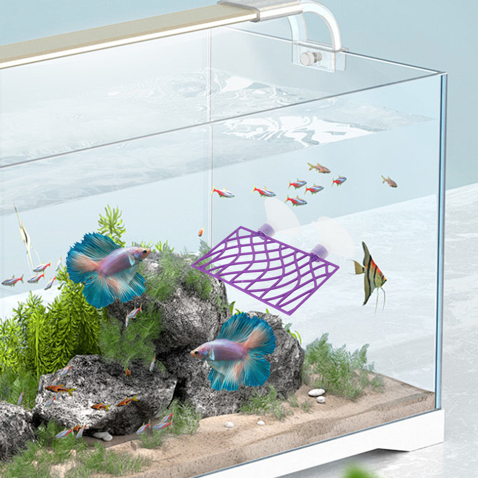 1Set Betta Fish Tank Tunnel Hi - Aquarium Fish Hiding Spot のレビューと価格