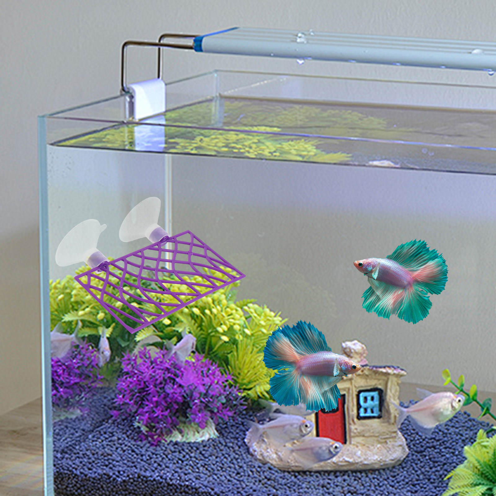 1Set Betta Fish Tank Tunnel Hi - Aquarium Fish Hiding Spot のレビューと価格