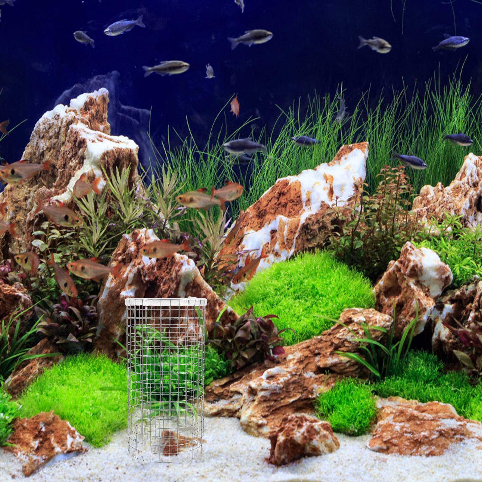 Angelfish Spawning Cone Grid I - Aquarium Fish Net Small のレビューと価格