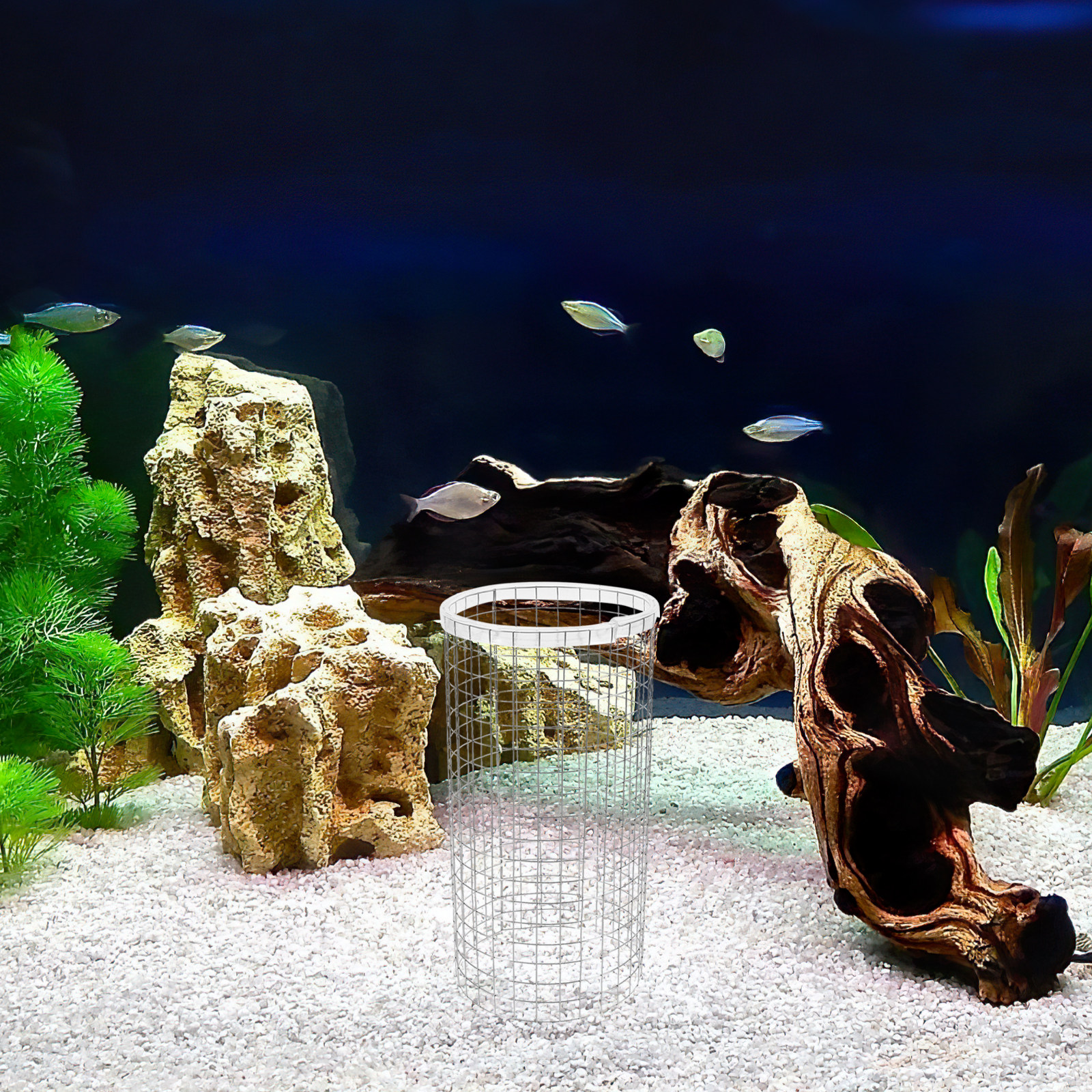 Angelfish Spawning Cone Grid I - Aquarium Fish Net Small のレビューと価格