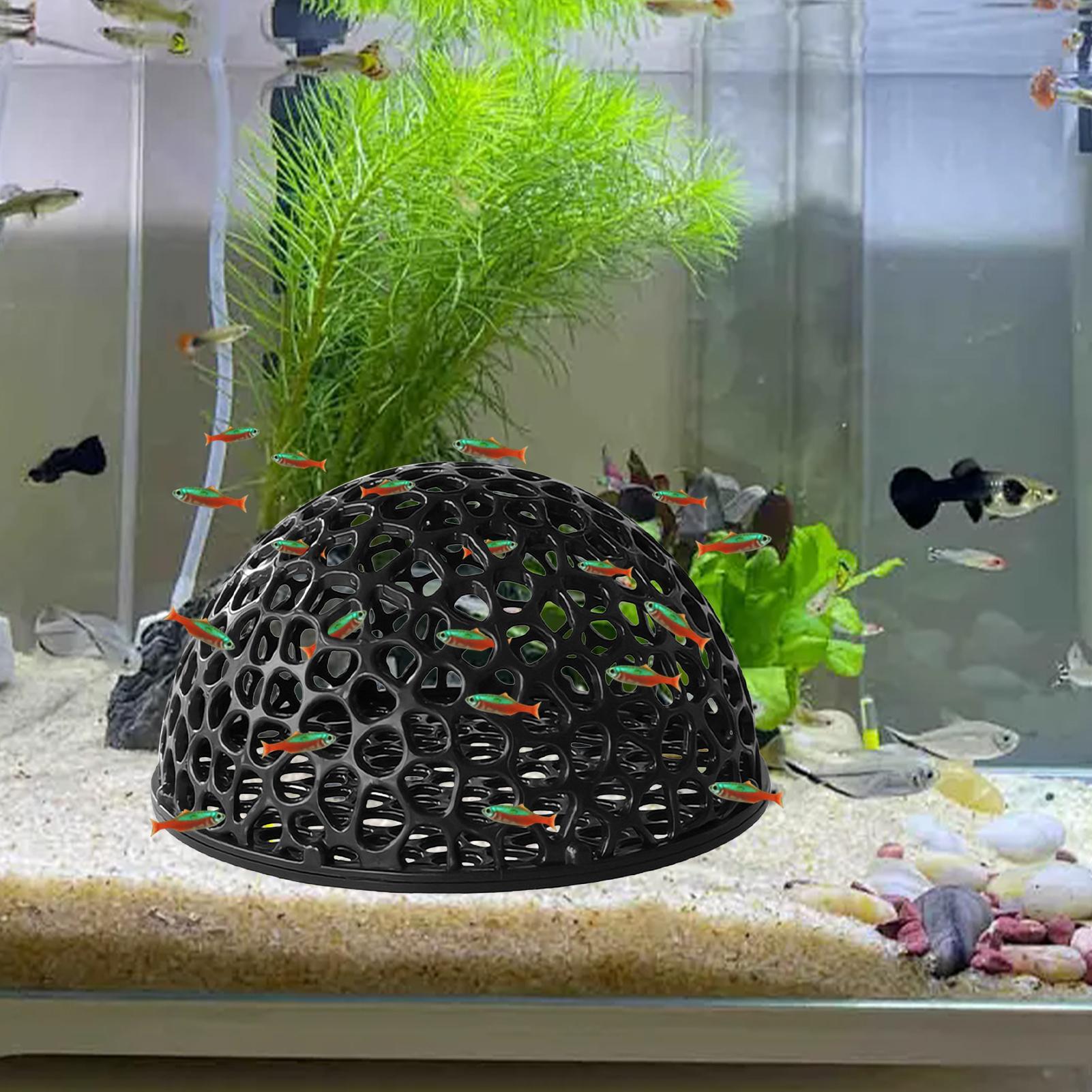 Mini Porous Betta House Aquari - Aquarium Fish Hiding Spot のレビューと価格