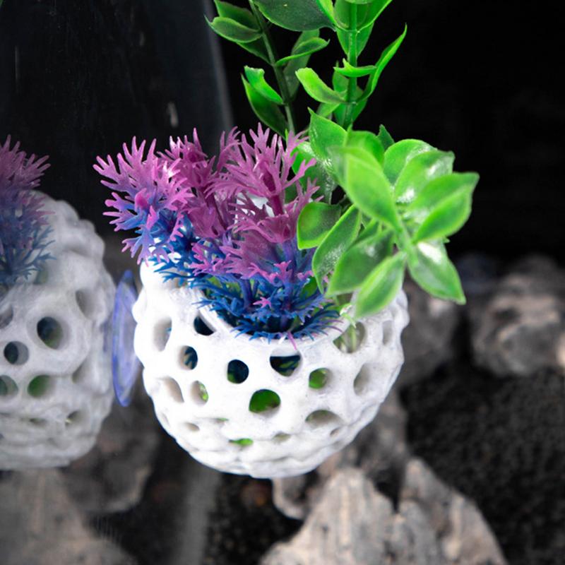 Small Aquarium shrimp house Ca - Aquarium Fish Hiding Spot のレビューと価格