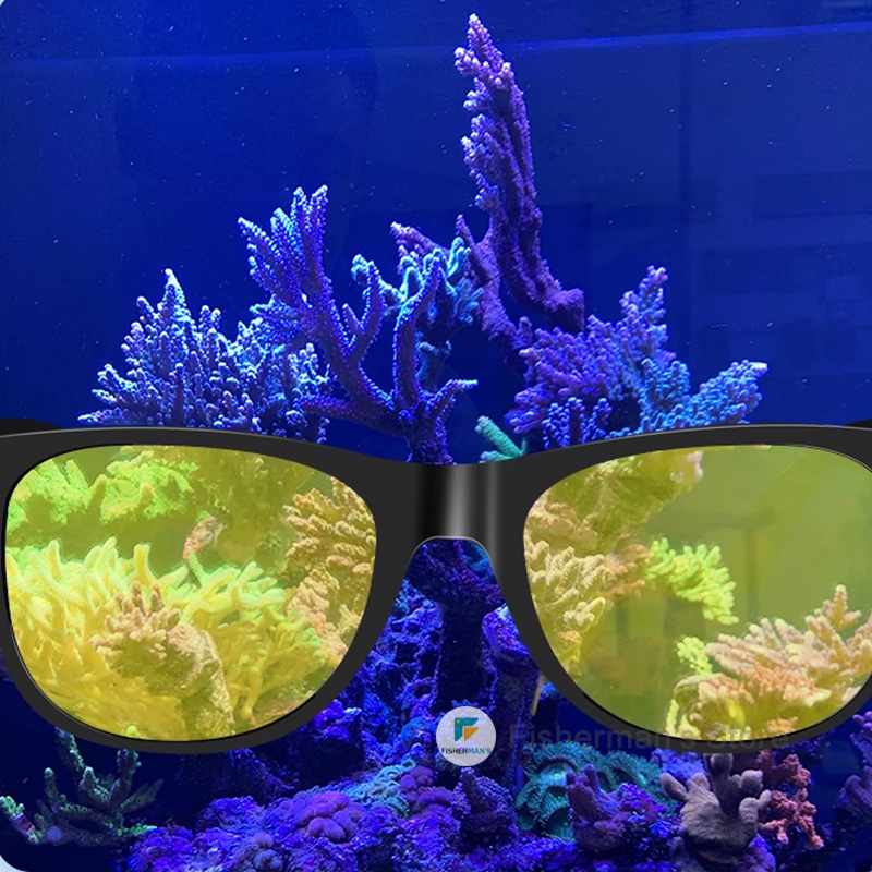 Redsea ReefView Coral Viewing  - Aquarium Fish Photography のレビューと価格
