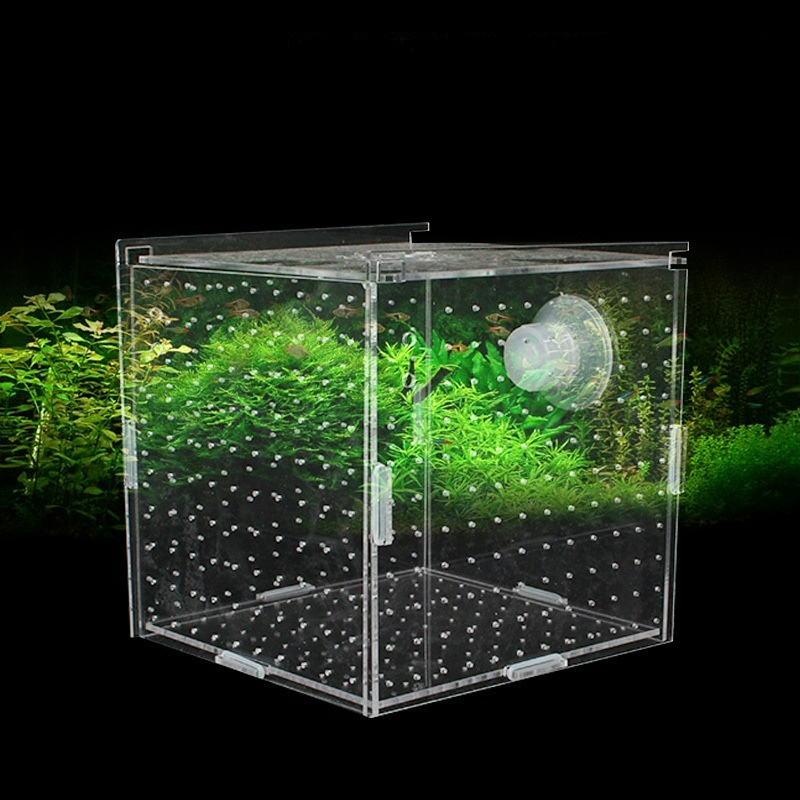 Acrylic Isolation Box Fish Tan - Aquarium Fish Net Small のレビューと価格