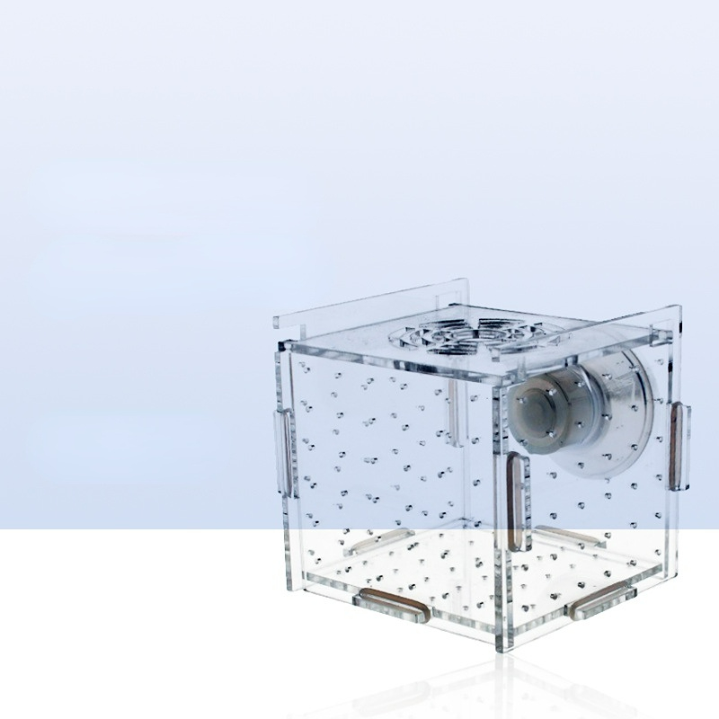 Acrylic Isolation Box Fish Tan - Aquarium Fish Net Small のレビューと価格