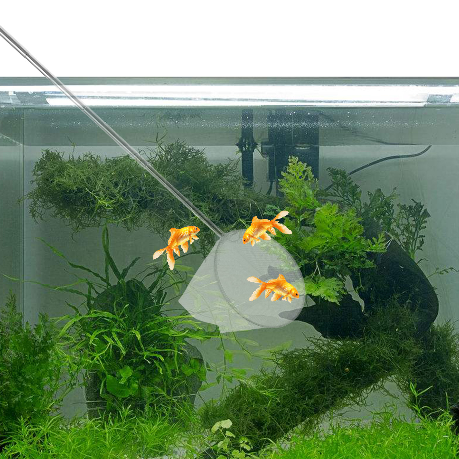 Stainless Steel Telescopic Aqu - Aquarium Fish Net Small のレビューと価格