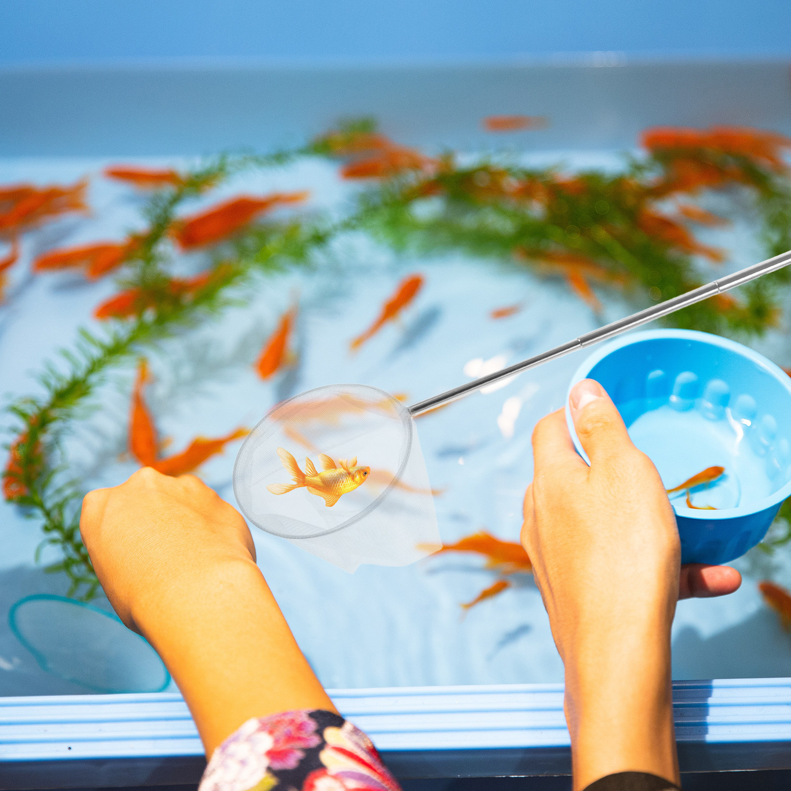Stainless Steel Telescopic Aqu - Aquarium Fish Net Small のレビューと価格