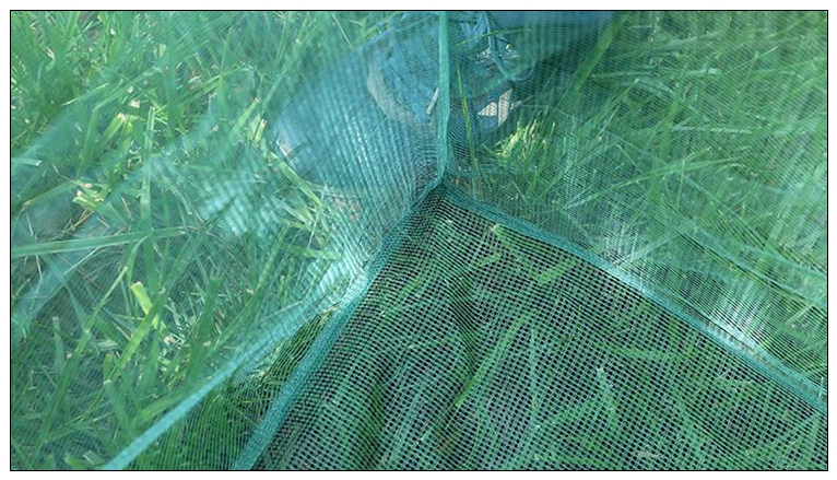 Fishing 3mm Stake Small Mesh C - Aquarium Fish Net Small のレビューと価格