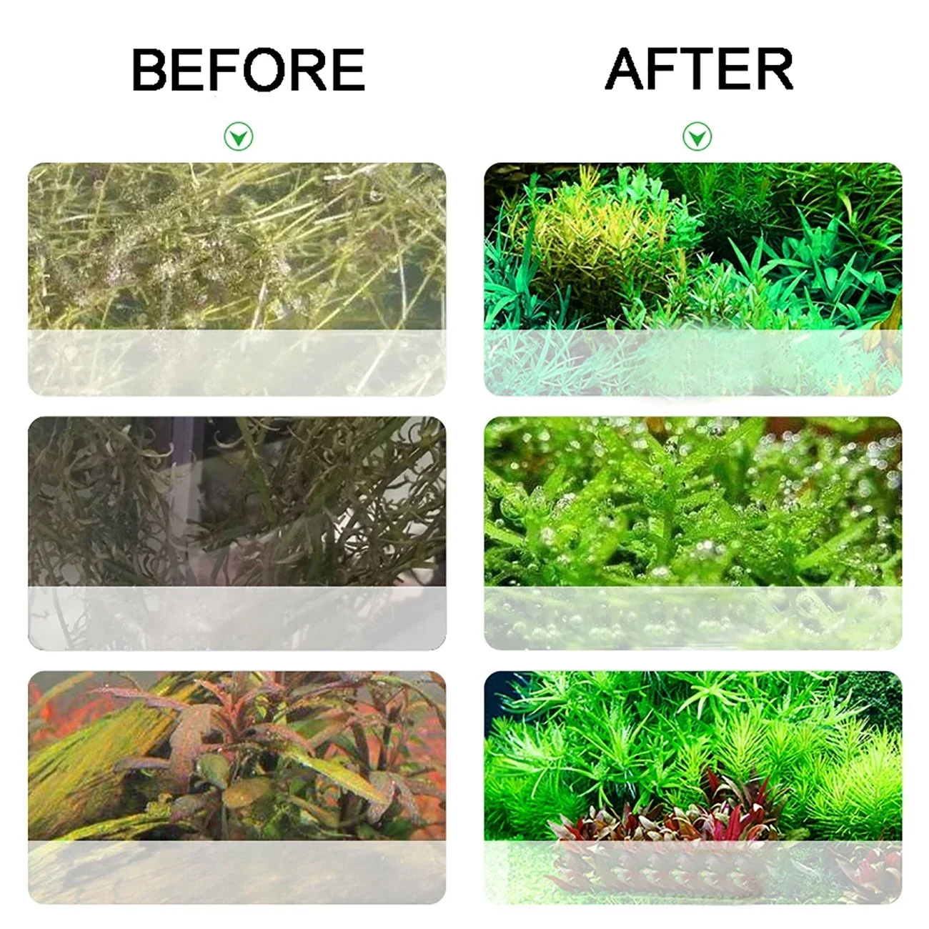 Aquarium CO2 Generator 2L DIY  - Aquarium Fish Photography のレビューと価格