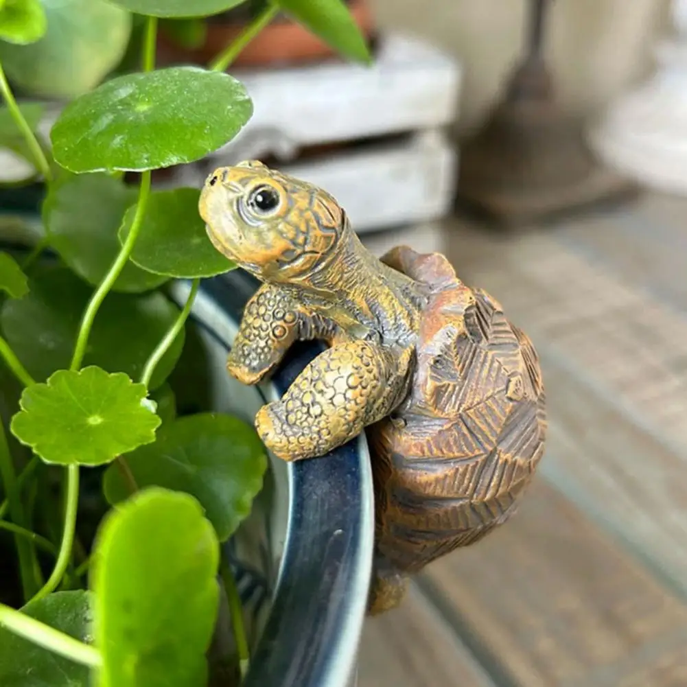 Fishing Turtle Hanging Turtle  - Aquarium Fish Photography のレビューと価格