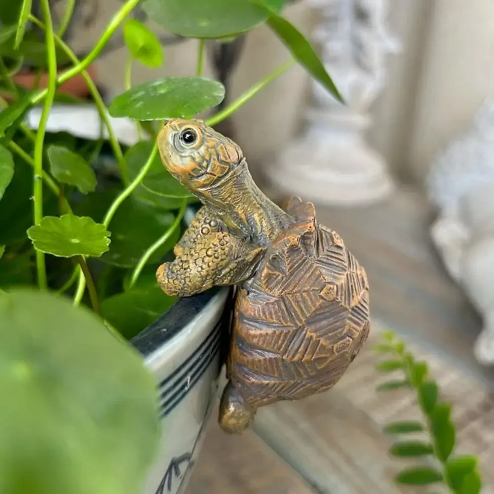 Fishing Turtle Hanging Turtle  - Aquarium Fish Photography のレビューと価格
