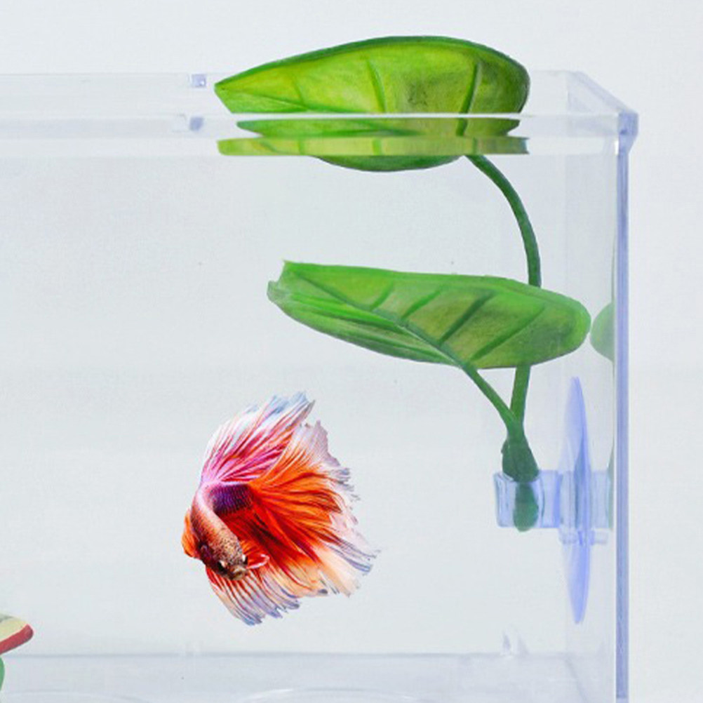 2Pcs Lifelike Betta Leaf Hammo - Aquarium Fish Hiding Spot のレビューと価格