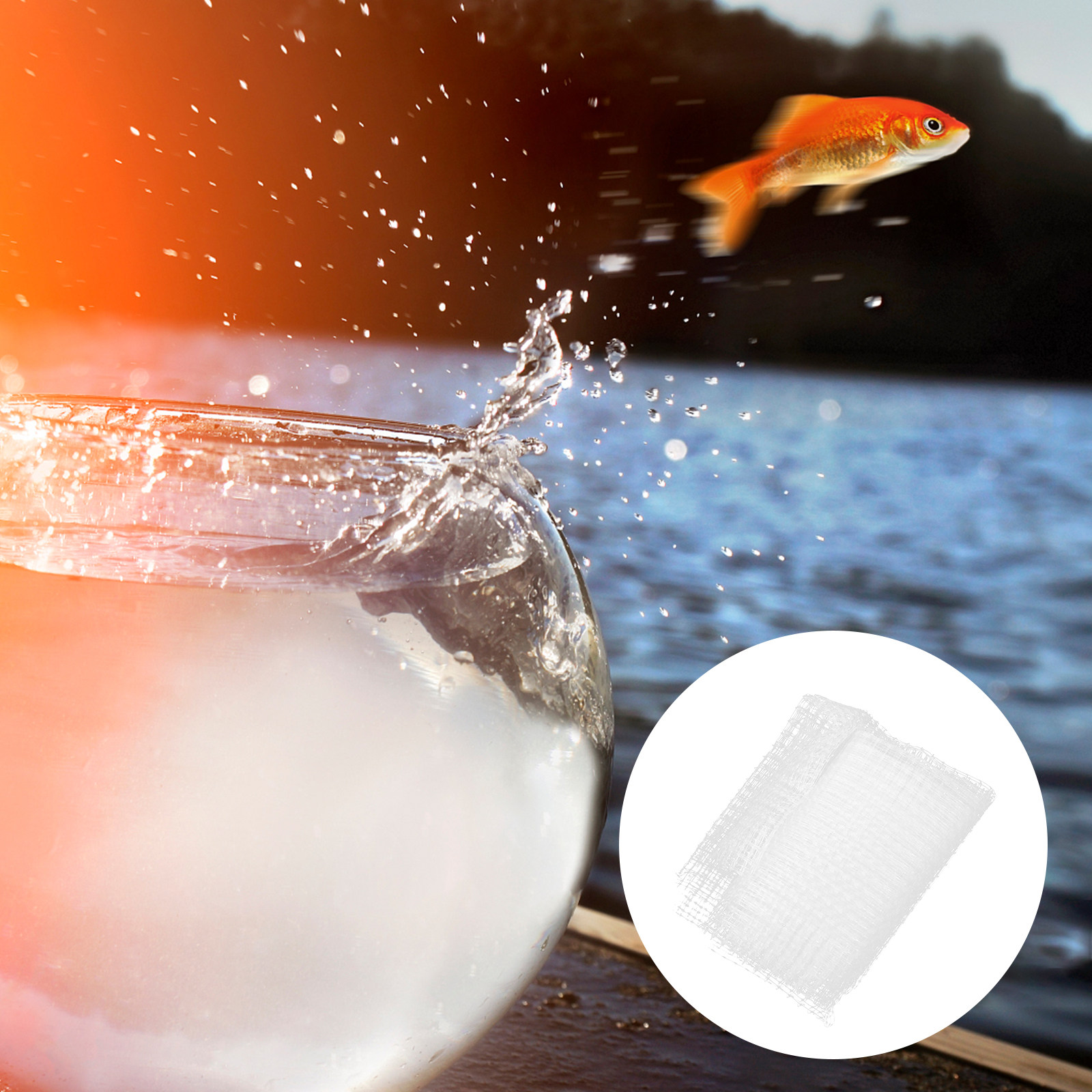1Pcs Fish Tank Escape-Proof Ne - Aquarium Fish Net Small のレビューと価格
