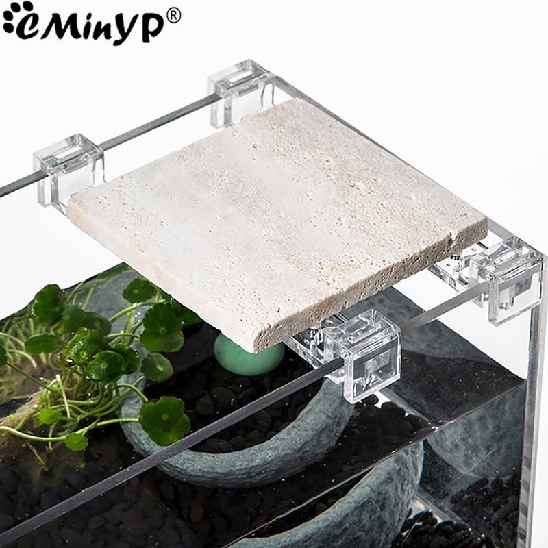 4Pcs Fish Tank Acrylic Clips f - Aquarium Fish Photography のレビューと価格