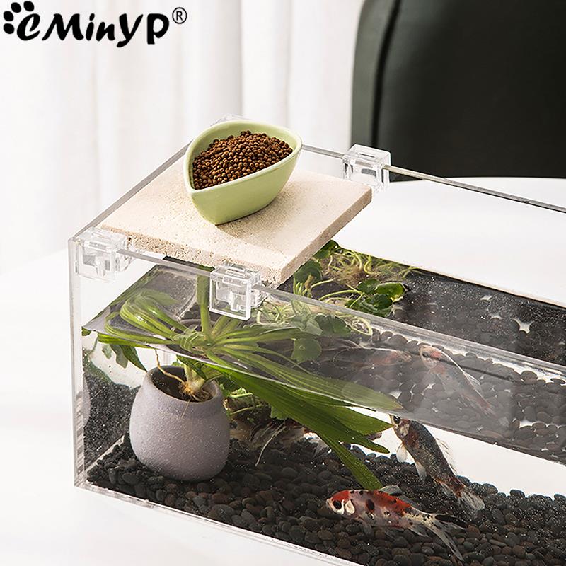 4Pcs Fish Tank Acrylic Clips f - Aquarium Fish Photography のレビューと価格