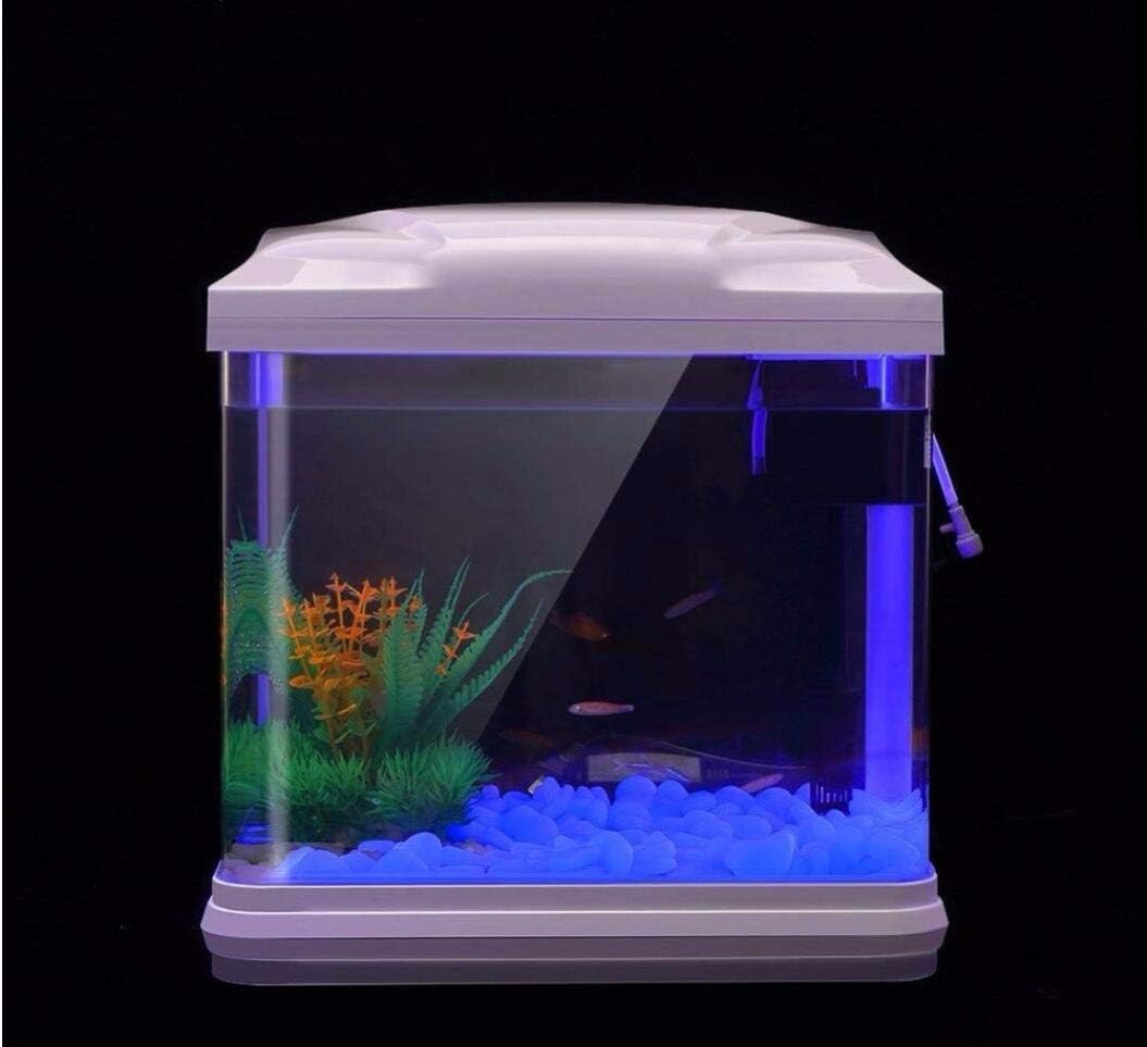 Fish Tank Rocks Glow Blue Pebb - Aquarium Fish Photography のレビューと価格