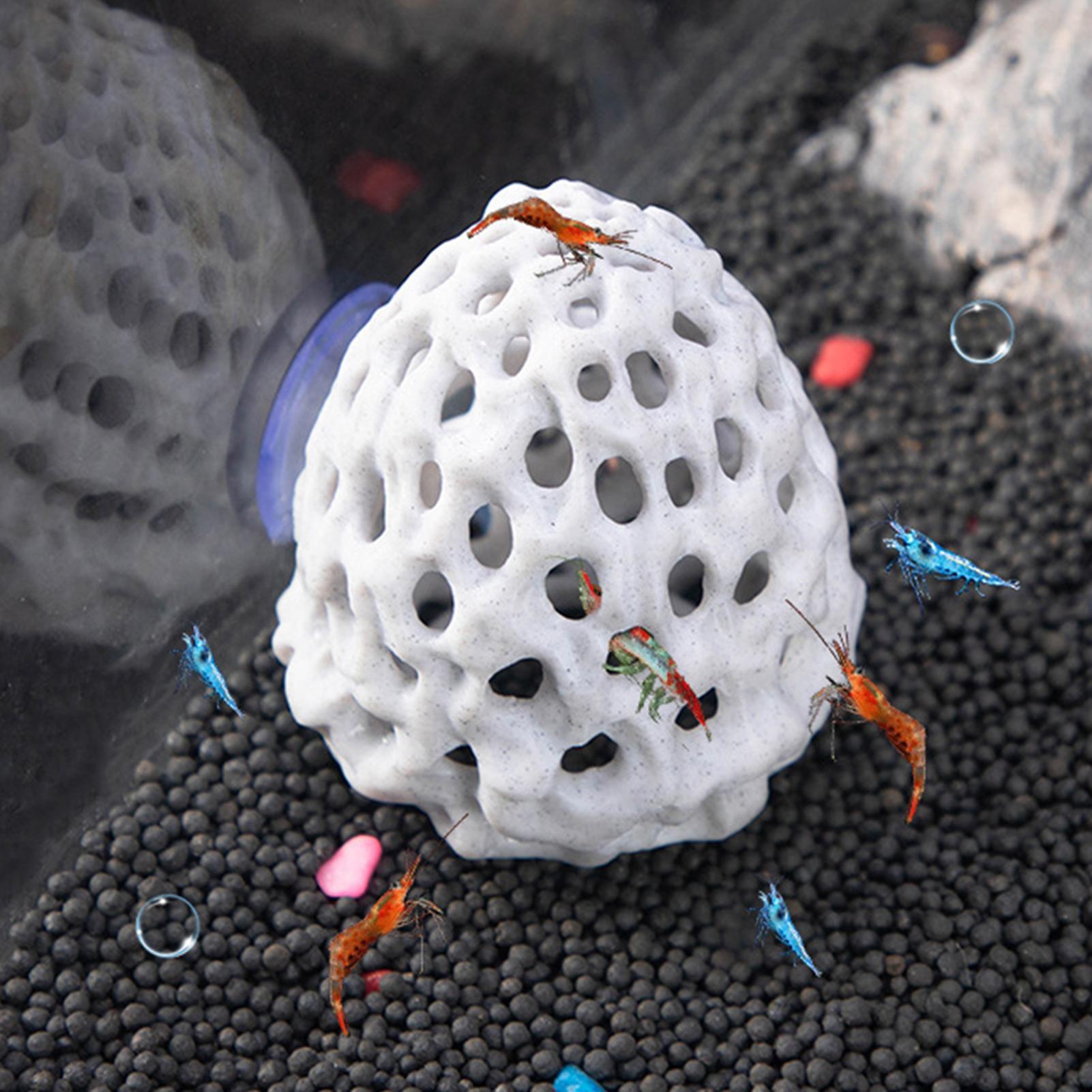 Aquarium shrimp house Cave Min - Aquarium Fish Hiding Spot のレビューと価格