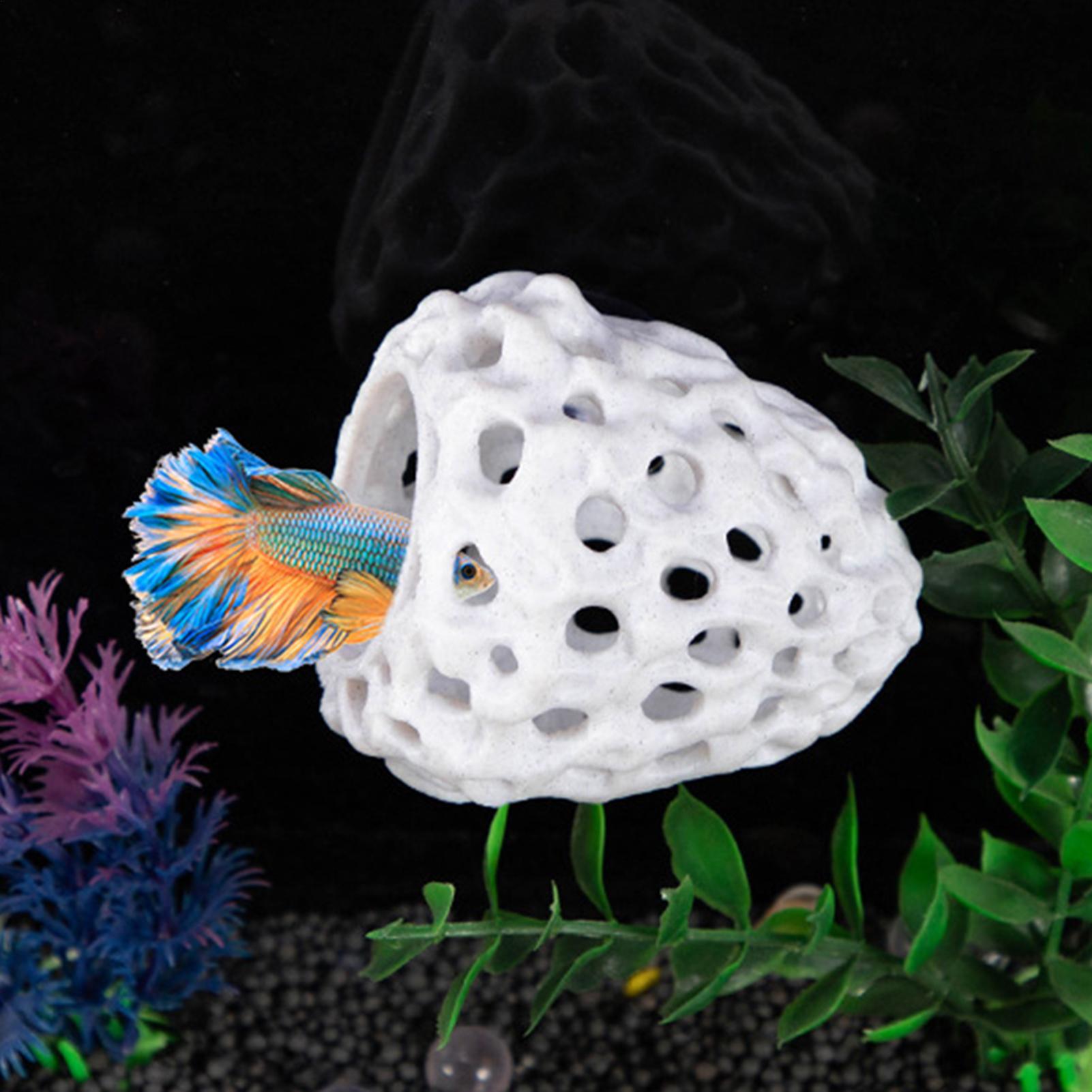 Aquarium shrimp house Cave Min - Aquarium Fish Hiding Spot のレビューと価格