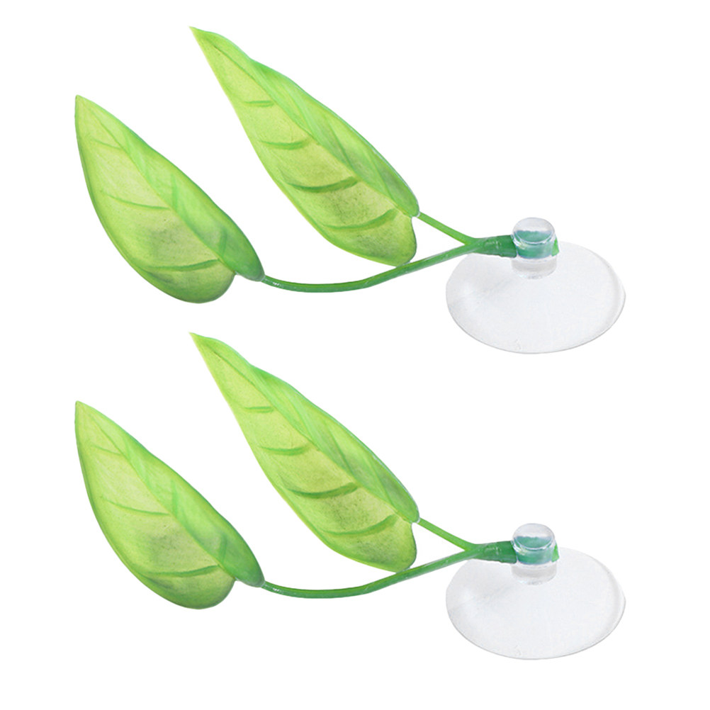 2Pcs Betta Leaf Pad Betta Fish - Aquarium Fish Hiding Spot のレビューと価格