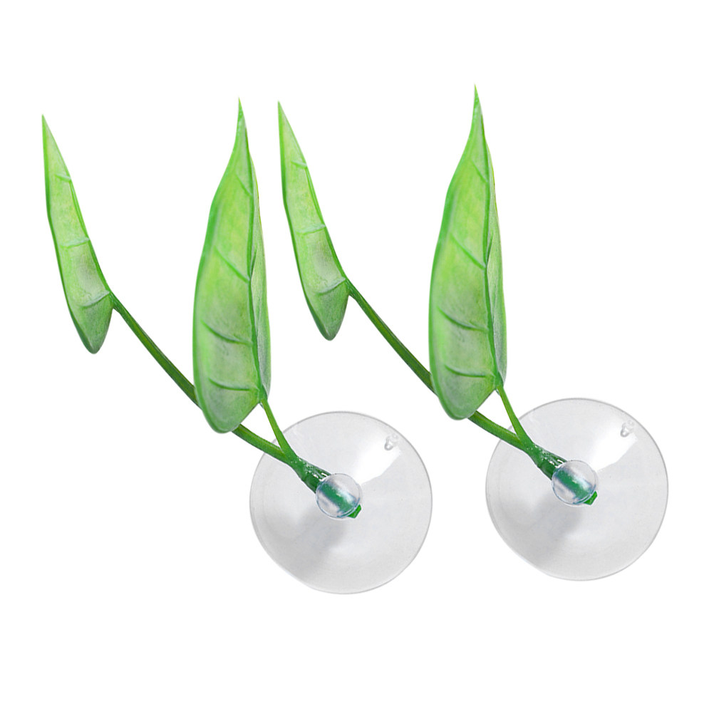 2Pcs Betta Leaf Pad Betta Fish - Aquarium Fish Hiding Spot のレビューと価格