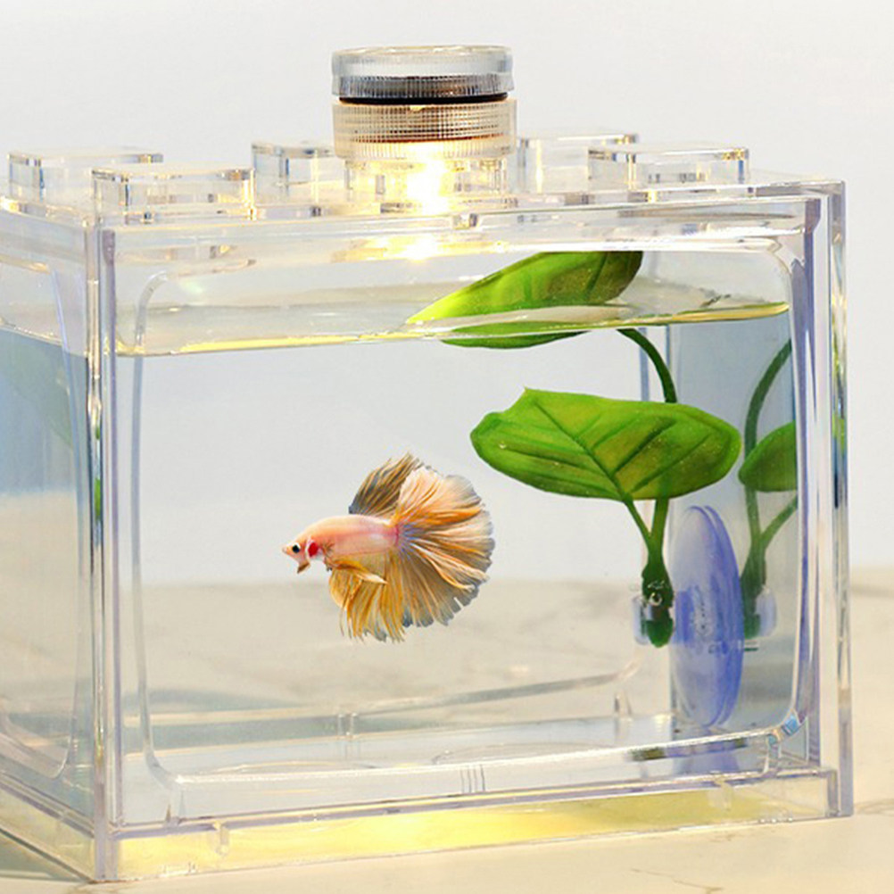 2Pcs Betta Leaf Pad Betta Fish - Aquarium Fish Hiding Spot のレビューと価格