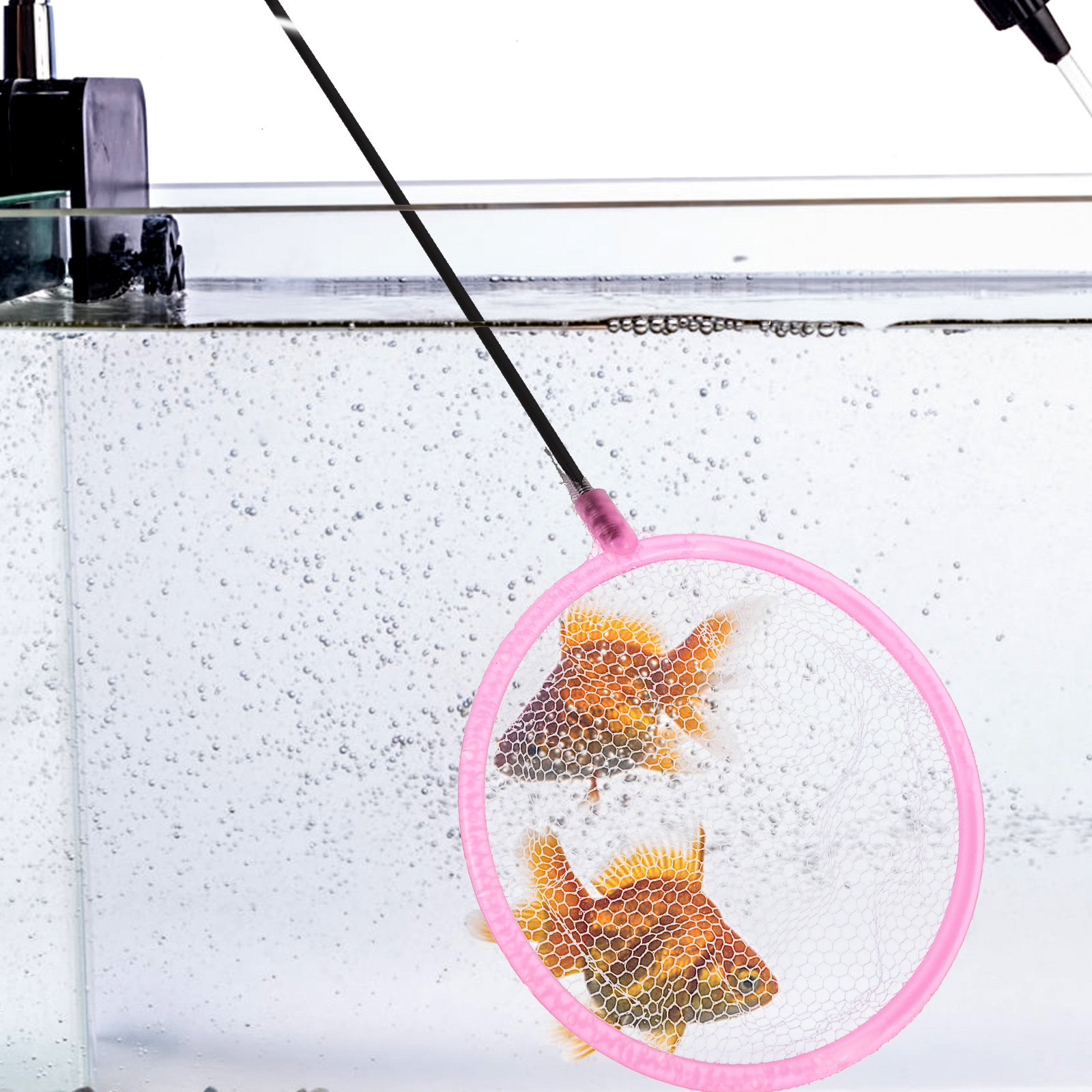 20Pcs Small Aquarium Fishing N - Aquarium Fish Net Small のレビューと価格