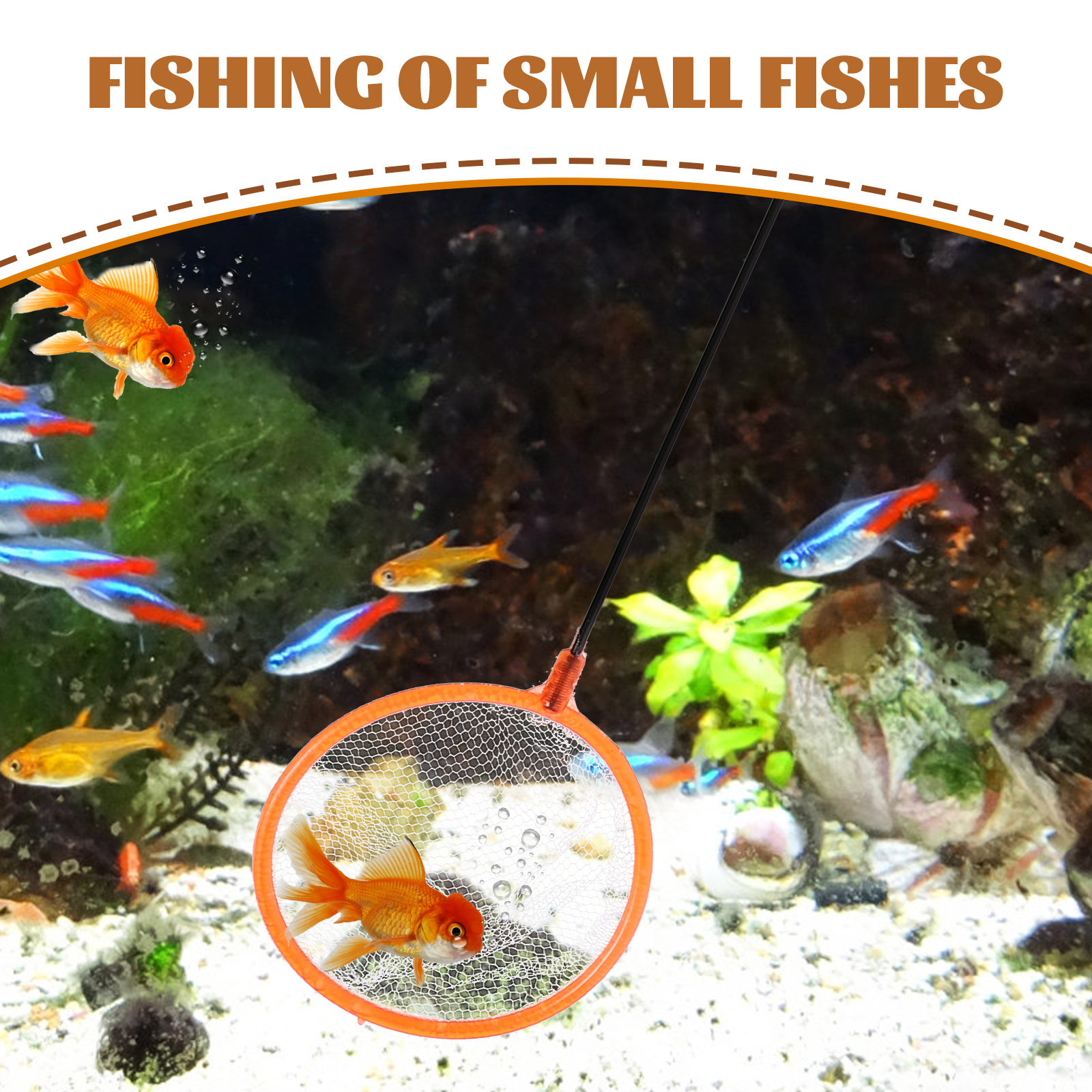 20Pcs Small Aquarium Fishing N - Aquarium Fish Net Small のレビューと価格