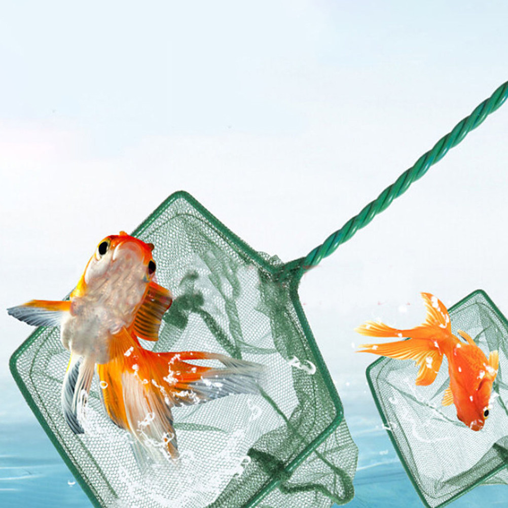 2Pcs Fishing Net Soft Mesh Aqu - Aquarium Fish Net Small のレビューと価格