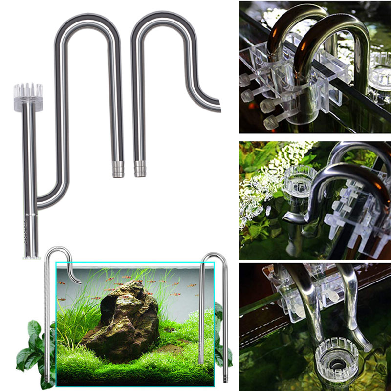 New Fish Tank Lily Pipe Stainl - Aquarium Fish Photography のレビューと価格