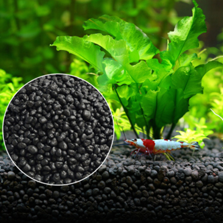 Aquarium Plant Seeds Soil Fish - Aquarium Fish Photography のレビューと価格
