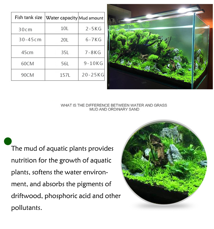 Aquarium Plant Seeds Soil Fish - Aquarium Fish Photography のレビューと価格
