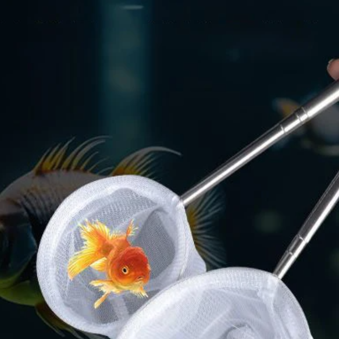 Aquarium Fish Fishing Net Stai - Aquarium Fish Net Small のレビューと価格