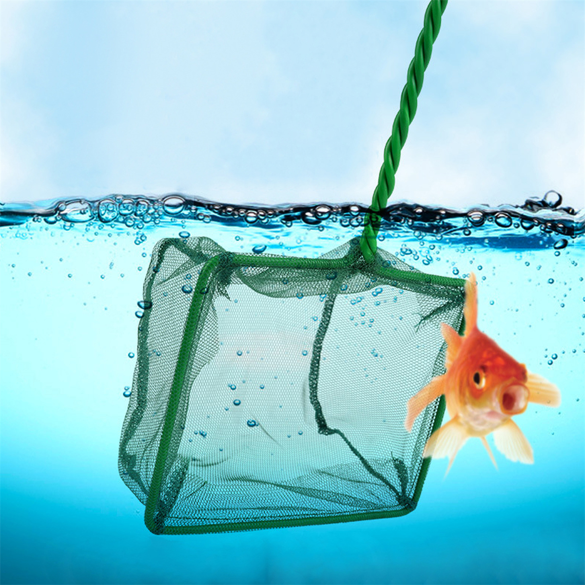 3~10 Inch Portable Nylon Green - Aquarium Fish Net Small のレビューと価格