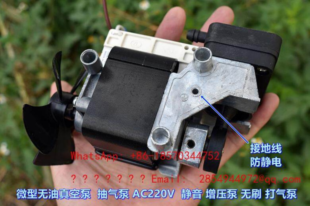 AC220V 100W Oil-free Silent Va - Air Pump Silent のレビューと価格