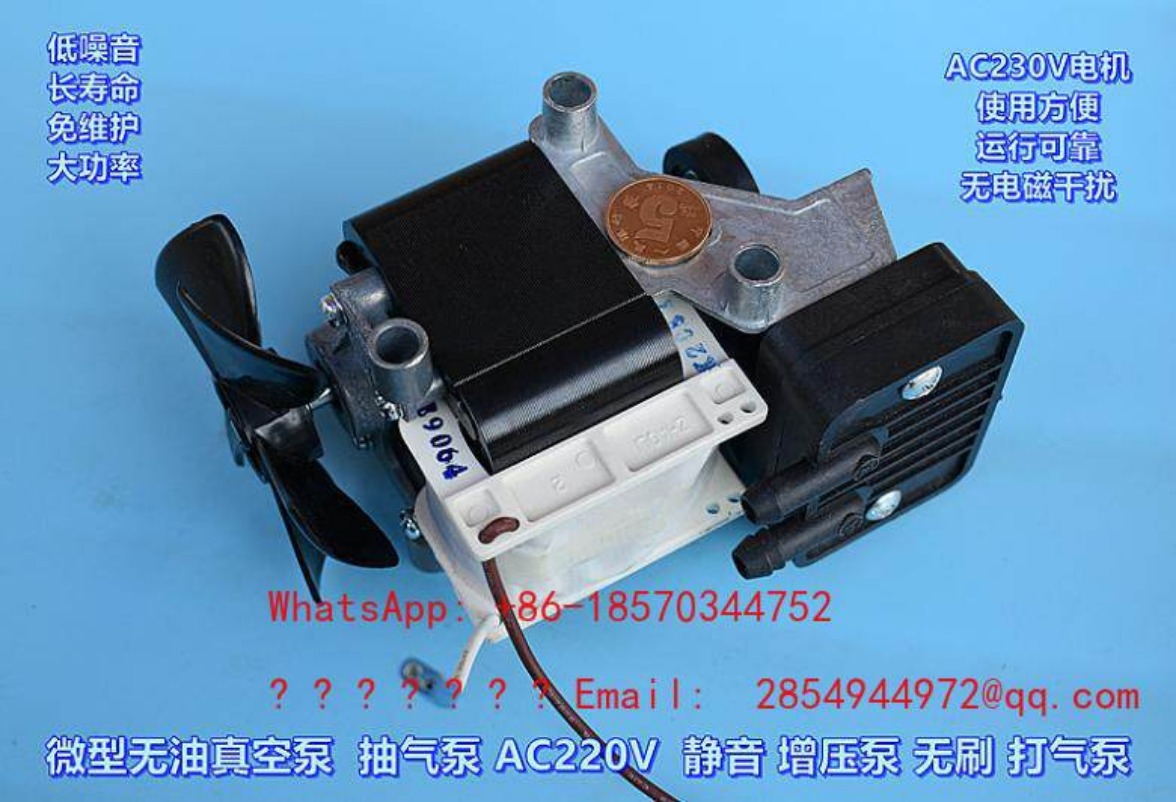 AC220V 100W Oil-free Silent Va - Air Pump Silent のレビューと価格