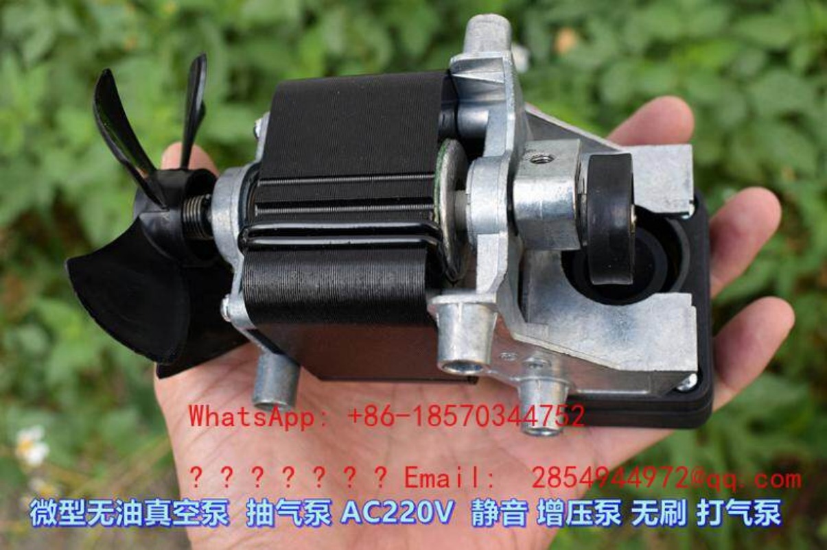 AC220V 100W Oil-free Silent Va - Air Pump Silent のレビューと価格