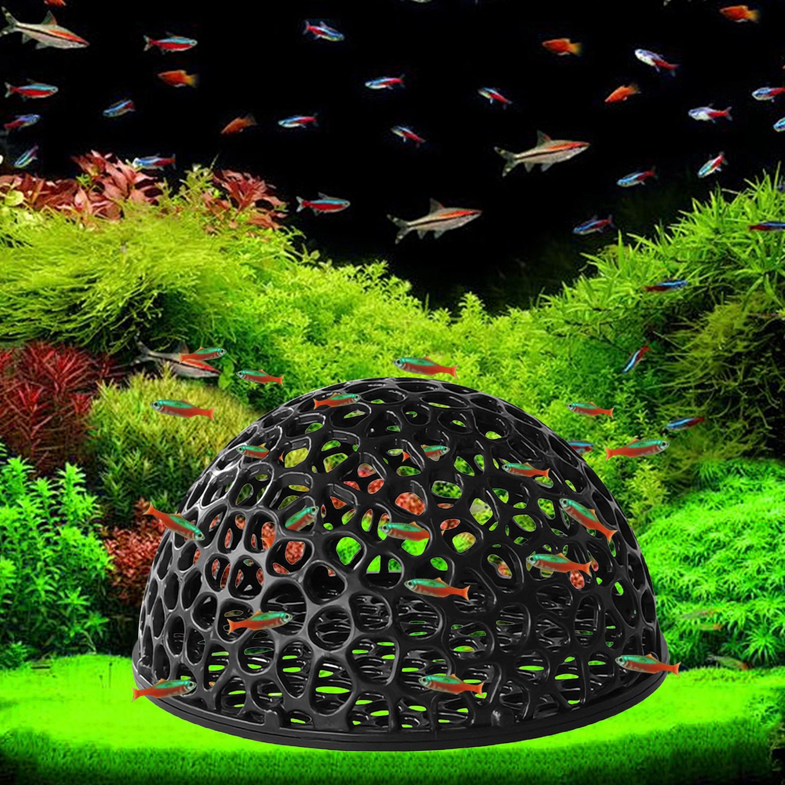Aquarium shrimp house Cave Min - Aquarium Fish Hiding Spot のレビューと価格