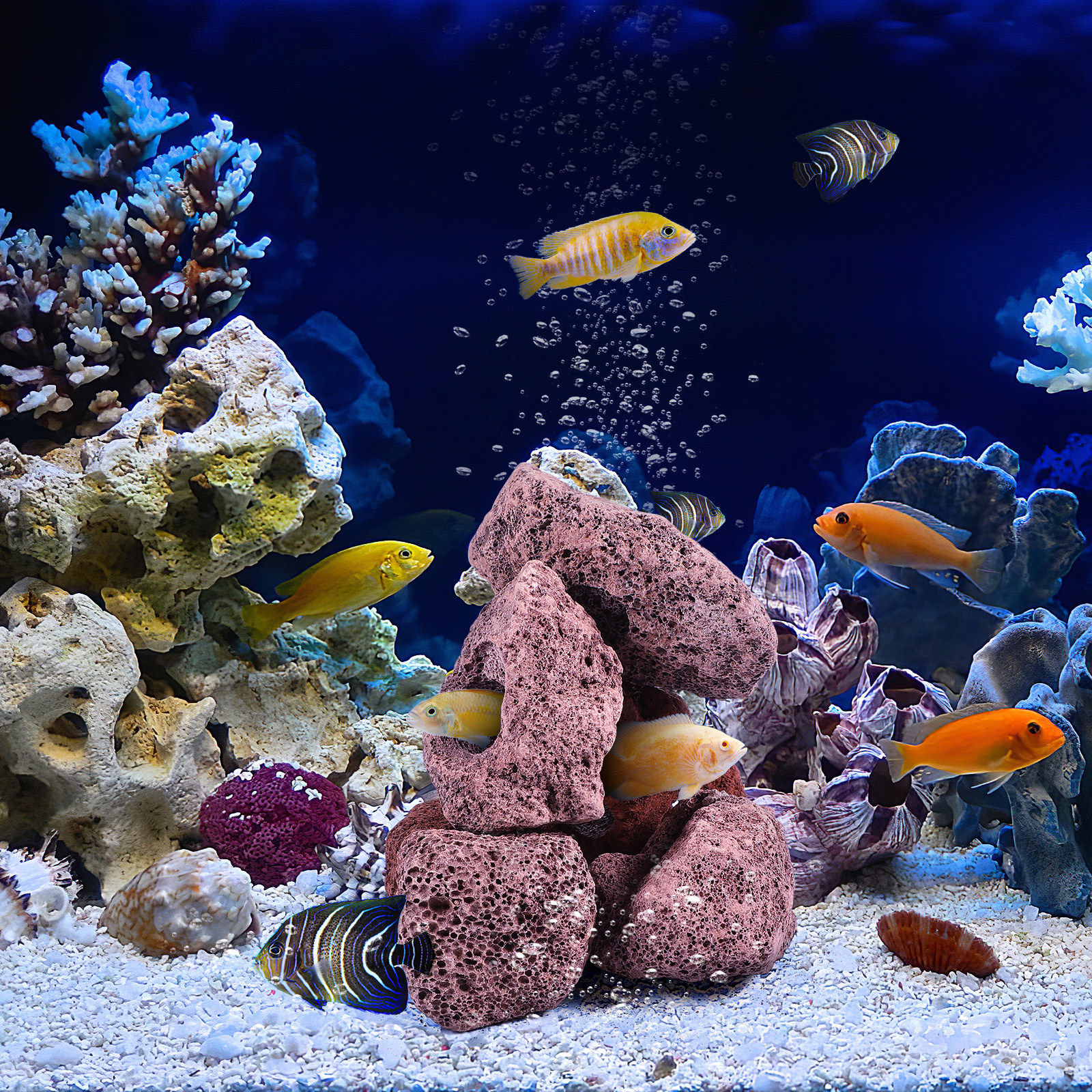 10Pcs Aquarium Stone Cave Orna - Aquarium Fish Hiding Spot のレビューと価格
