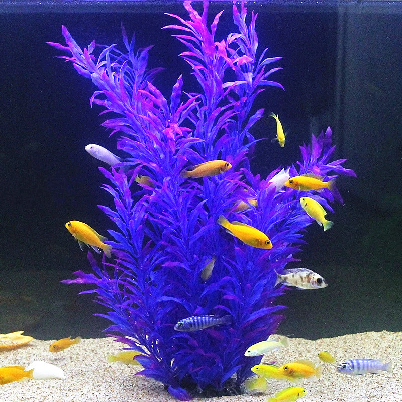 50CM Artificial Fish Tank Rare - Aquarium Fish Photography のレビューと価格