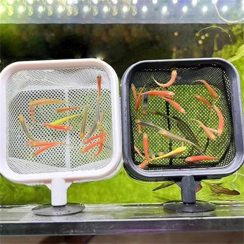 AquariumFish Fishing Net Stain - Aquarium Fish Net Small のレビューと価格