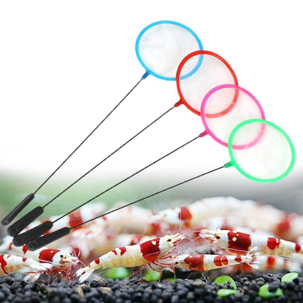 1/5/10pc Colorful Aquarium Fis - Aquarium Fish Net Small のレビューと価格