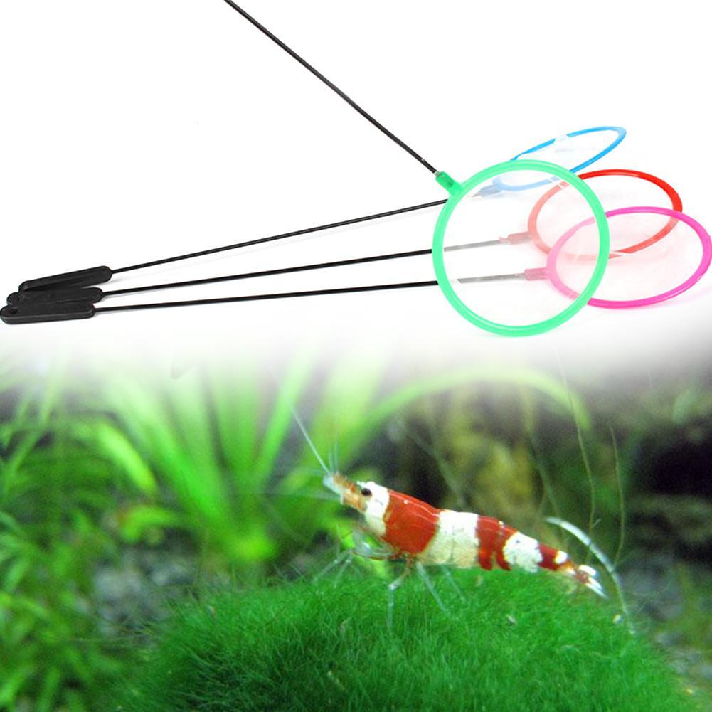 1/5/10pc Colorful Aquarium Fis - Aquarium Fish Net Small のレビューと価格